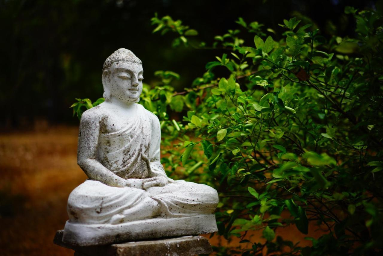 Waters Edge, Anuradhapura Exterior foto
