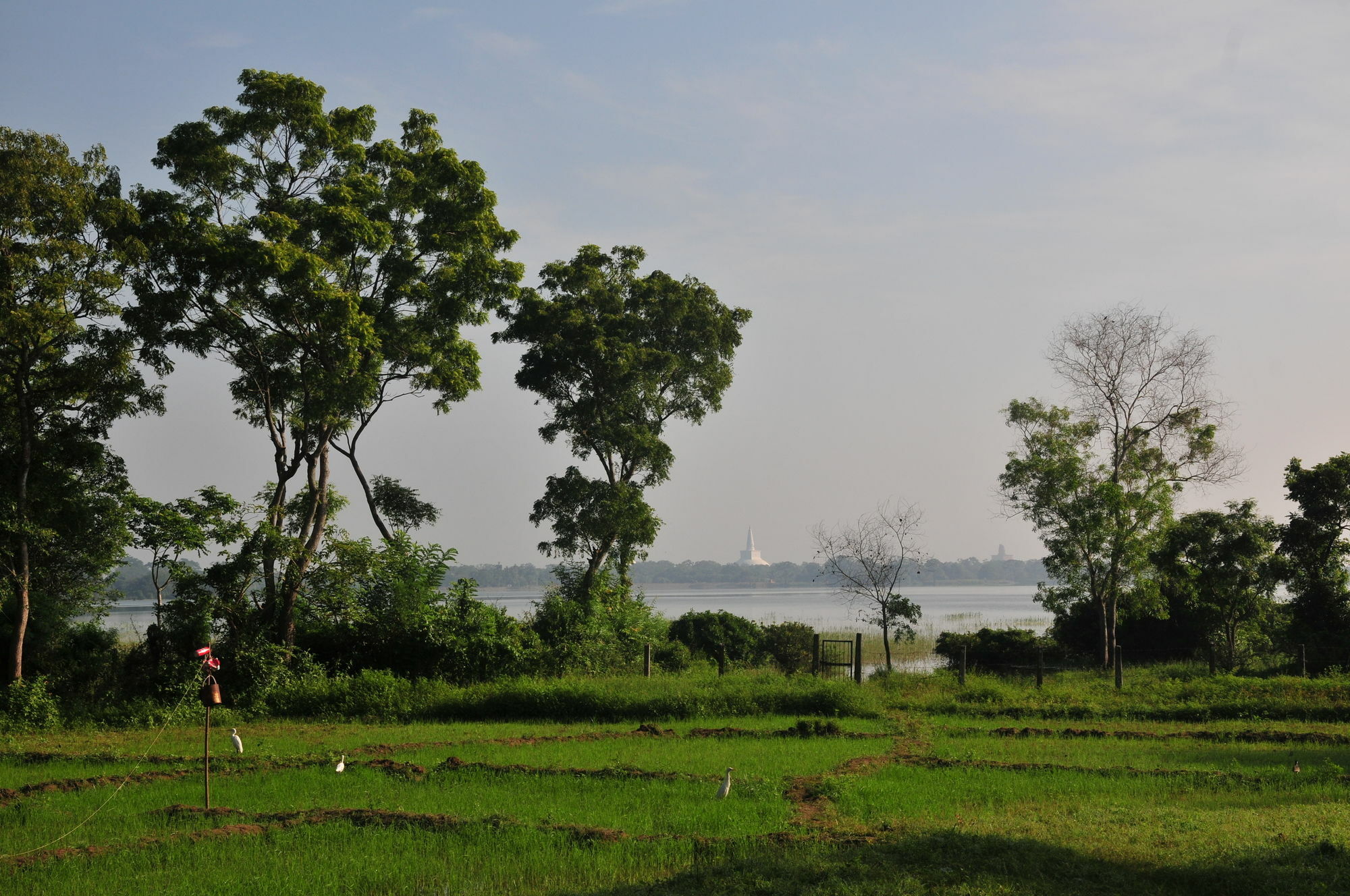 Waters Edge, Anuradhapura Exterior foto